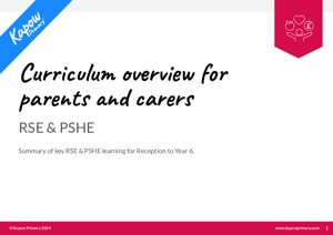 M RSE PSHE Curriculum overview 22.08.24 1